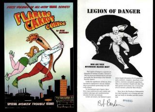 Burden Signed Legion Of Danger & Flaming Carrots 1st.  Image Series Plus 2 Issues