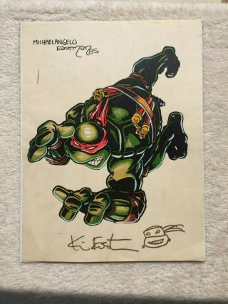 Teenage Mutant Ninja Turtles Michelangelo Color Art Kevin Eastman 1985
