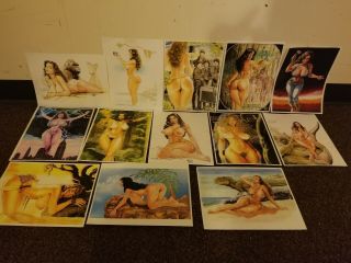 Budd Roots Single Art Prints - Special Edition Nude - 18,  Only