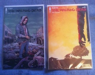 Walking Dead 192 & 193 Near 1st Print (2 Book Set) Final Issues