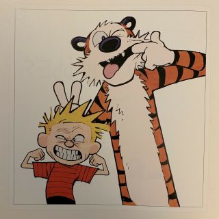 The Complete Calvin And Hobbes Book Set 2005 First Edition