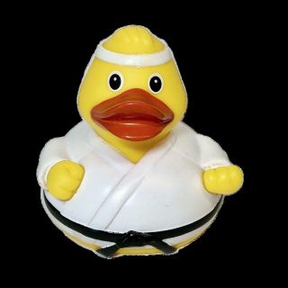 Martial Arts Rubber Duck