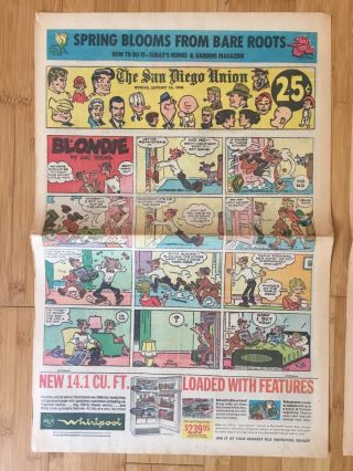 1966 Sunday Comics Dick Tracy Peanuts Abner Blondie Annie Dennis Terry Pirates