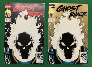 Ghost Rider 15 1st And 2nd Print - Glow In The Dark Cover Lqqk