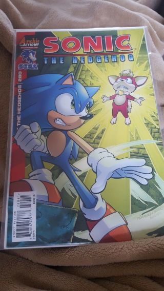 Sonic The Hedgehog 280 Comic Book Nip