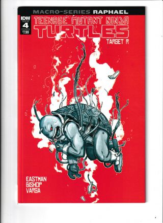 Teenage Mutant Ninja Turtles Macro - Series: Raphael 4 Nm - 9.  2 Cover B Idw Comics