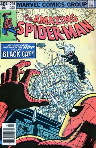 The Spider - Man 205 The Black Cat Bronze Age Marvel Comics 1980