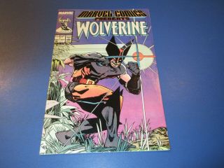 Marvel Comics Presents 1 Wolverine Fvf