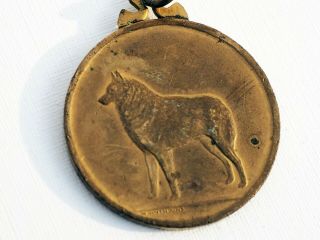 Antique Golden Medal Signed W.  Anthoons Anthdons Schipperke Dog 1888 Bruxelles 3