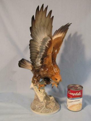 Rare Old 17 " Tall Hutschenreuther Eagle Figurine / Bird Of Prey Sculpture