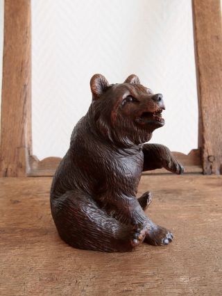 Black Forest Brienz.  Bear Sculpture Swiss Carving.  5 1/2’ 