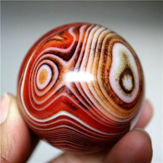 52mm Madagascar Crazy Lace Banded Agate Energy Sphere Ball