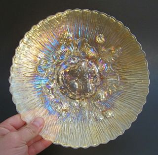 Rare Vintage Northwood Carnival Glass Iridescent Marigold Poppy Show 9 " Plate