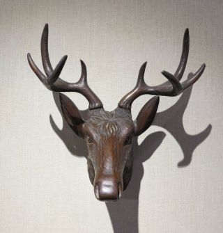 Black Forest German Antique Carved Wood Stag Head W/ Antlers Wall Sculpture