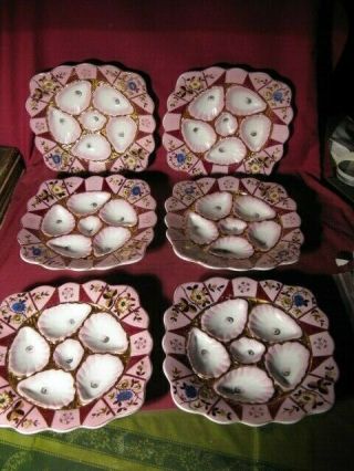 Set Antique Victorian Fine Porcelain Oyster Plates Mark & Gutherz