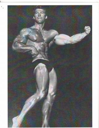 Bodybuilder Larry Scott Mr Olympia Bodybuilding Muscle Photo B&w 1960s 38