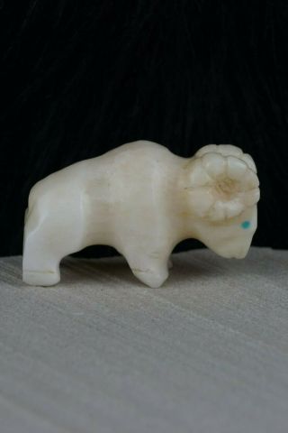 Ram Zuni Fetish Carving - Kevin Quam 2