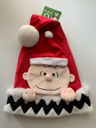 Peanuts Charlie Brown Santa Hat For Child/tween