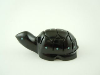 Bigger High Dome Zuni Blue Spotted Black Turtle Fetish Carving Emery Boone 81