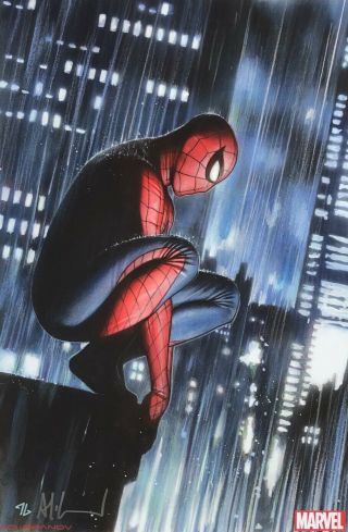Adi Granov Rare Spider - Man Print 11 X 17 Signed York Rain Last One