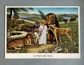 Watchtower Related La Pace Sulla Terra Isaiah 11:6 Freytag Italy Postcard
