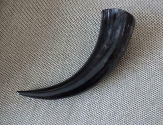 Viking Drinking Horn Great For Decoration Or Camping Re - Enactment Stage & Larp