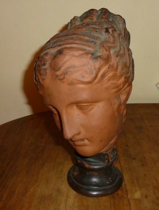 Antique Terracotta Grand Tour Head Bust Venus Roman Empress 11 1/2 Inches