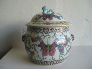 Fine Old Chinese Famille Rose Porcelain Enameled Painted Lidded Jar Butterflies