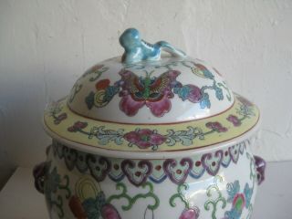 Fine Old Chinese Famille Rose Porcelain Enameled Painted Lidded Jar Butterflies 2