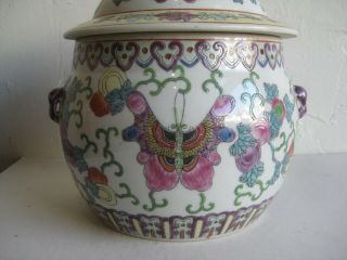 Fine Old Chinese Famille Rose Porcelain Enameled Painted Lidded Jar Butterflies 3