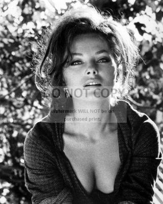 Virna Lisi Italian Actress - 8x10 Publicity Photo (bt048)