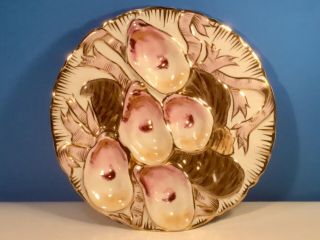 Oyster Plate Authentic Antique German “turkey” Oyster Plate C.  1800’s,  Op489
