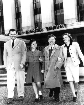 Clark Gable,  Shirley Temple,  Mickey Rooney & Judy Garland - 8x10 Photo (cc - 157)