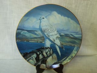 Sentry Of The North Majesty Of Flight Thomas Hirata Collector Plate Gyrfalcon