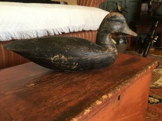 Vintage Antique Hollow Body Black Duck Decoy Jersey?