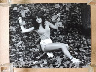 Ruth Gleeson In Shorts Large Size Leggy Fashion Portrait Photo 1980 