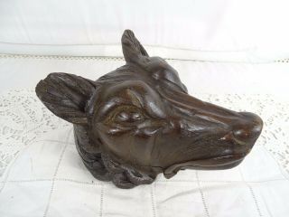 Large Antique Black Forest Oak Carved Head Of A Dog 19th Hunt