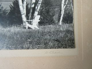 Old Vintage B/W Photograph The Birches Landscape by A Chase 2