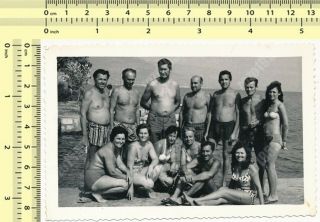 Beach Group,  Shirtless Men & Bikini Women,  Swimwear Ladies Guys Old Photo Orig.