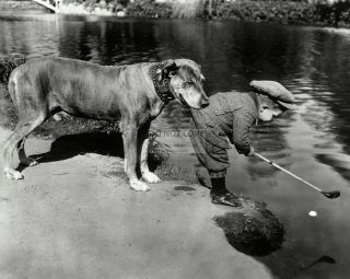 " Teddy The Dog " Holds Jackie Lucas In " Rough And Ready " - 8x10 Photo (fb - 967)