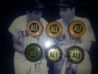 6 Vintage Genesee Brewery Beer Bottle Cap Crowns Cork Lined,  12 Horse,  Cream Ale