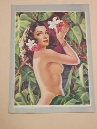 1945 Mexico Pin - Up Ojos Verdes Green Eyes Bare Breasted Picking Orchids