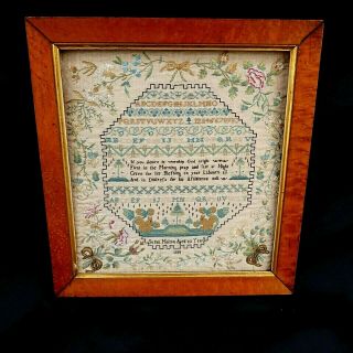 Rare Embroidery Georgian Early 19th Sampler 1819 Frame Foord Root Wood