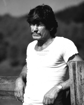 Actor Charles Bronson - 8x10 Publicity Photo (zy - 617)