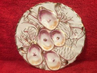 Oyster Plate Antique Turkey Oyster Plate Germany C.  1800’s,  Op445