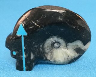 Zuni Carved Ammonite Fossil Bear Fetish With Heartline By Bernard Laiwakete