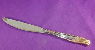 Cambridge Stainless Gold Florentine Solid Dinner Knife Multiples