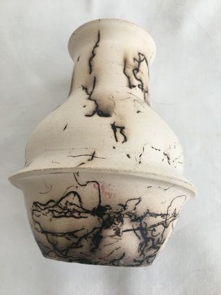 Navajo Native American Indian Horse Hair Pottery Vase Pot