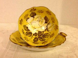 Vintage Paragon Floating Rose Double Warrant Cup And Saucer 1939 - 1949