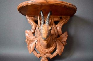 French Antique Black Forest Hand Carved Wood Wall Clock Bracket Shelf Ibex Glass